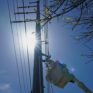Lineworker